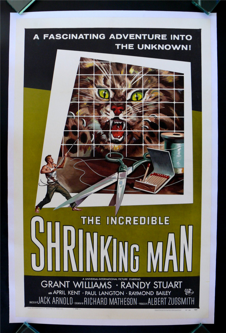 Incredible Shrinking Man