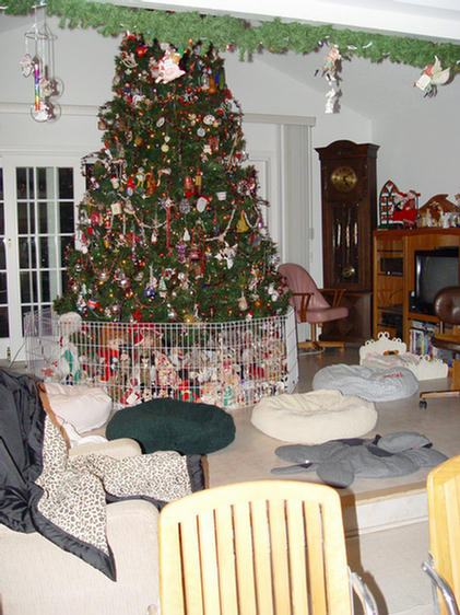 Christmas Day 2004