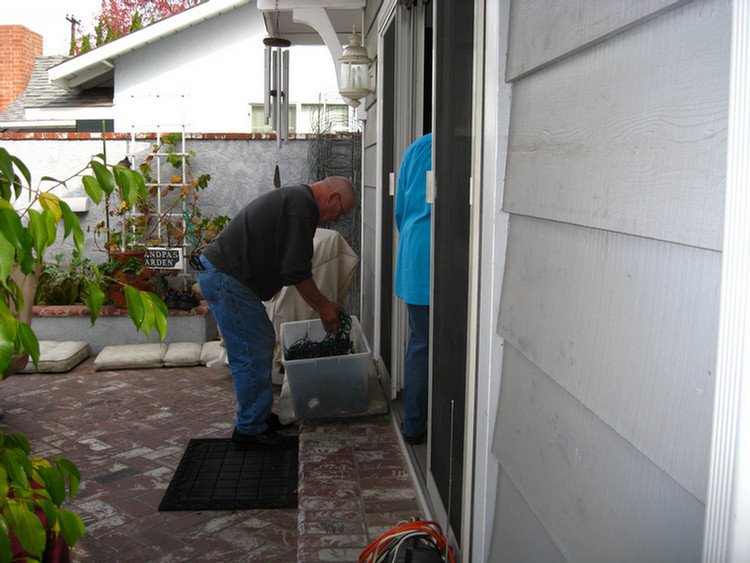 Decorating the house 2009