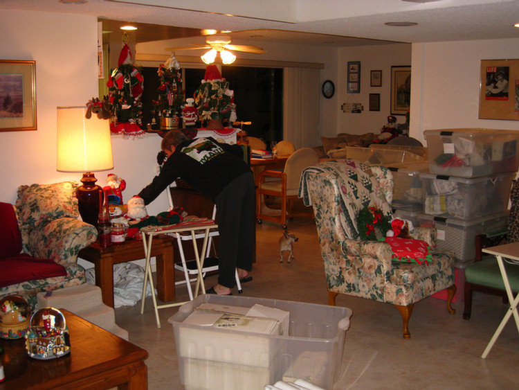 Decorating the house 2009
