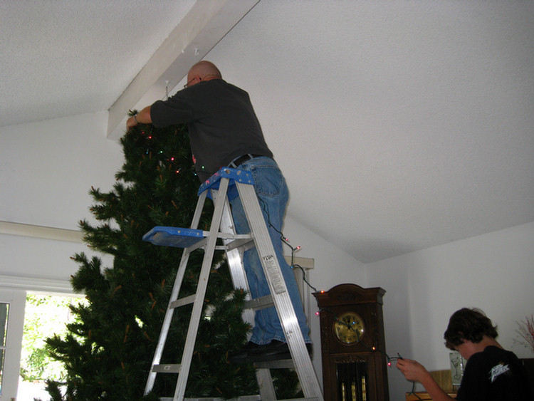 Decorating the house 2009