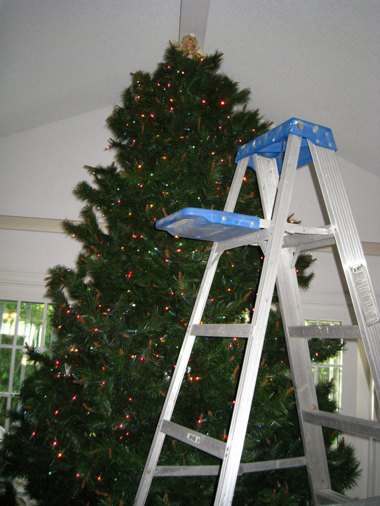 Decorating the house 2009