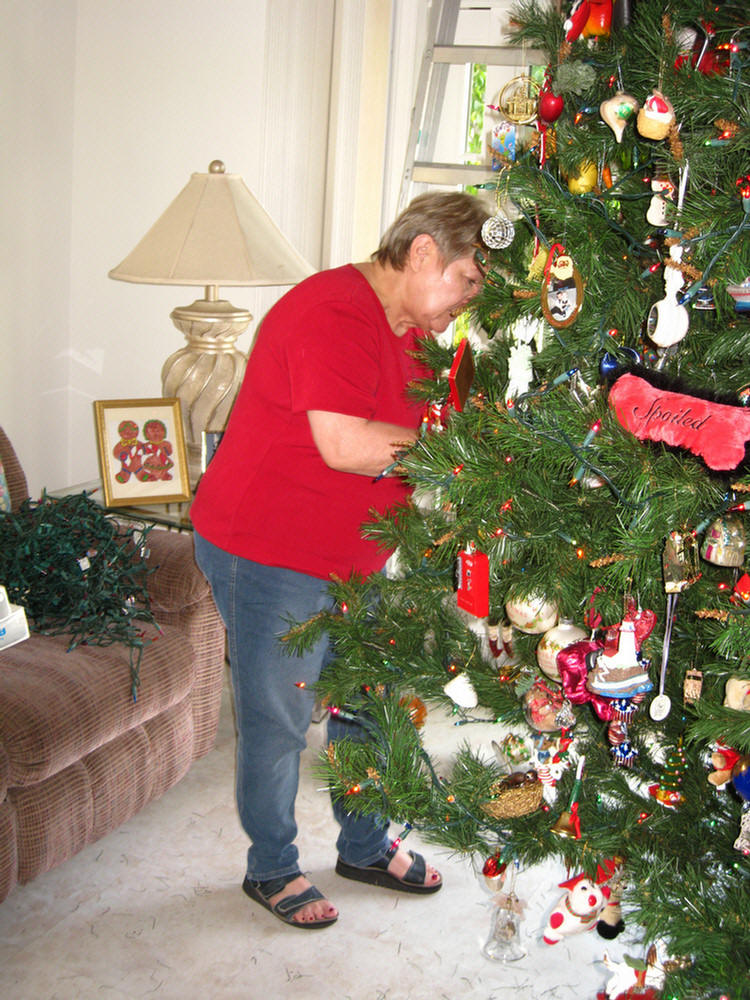 Christmas 2009 Decorating