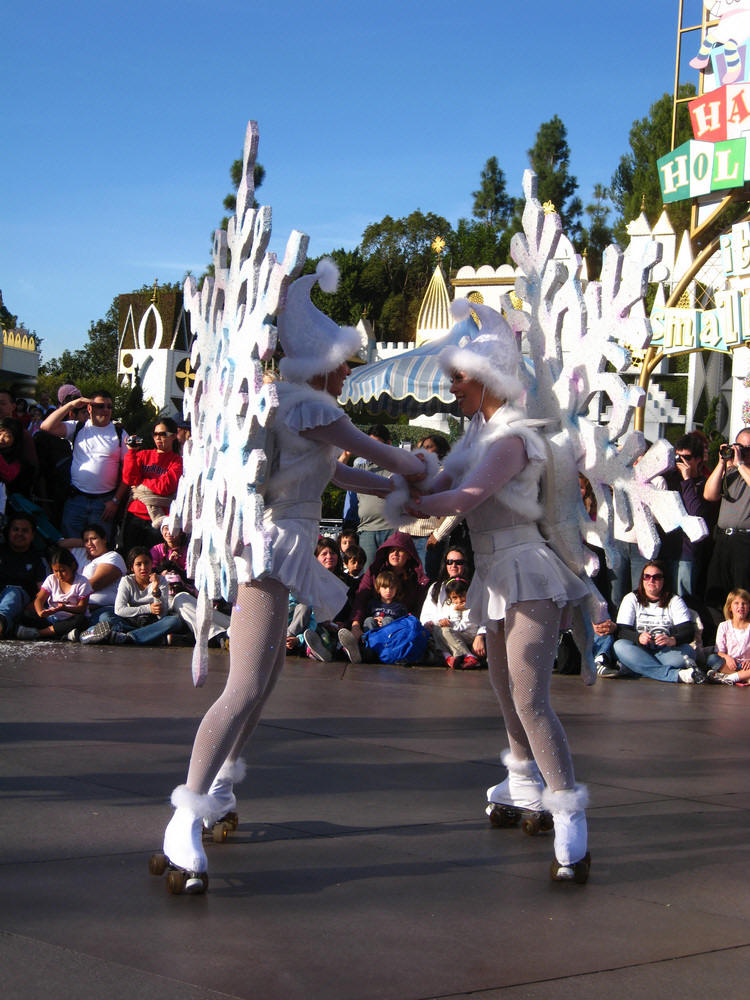 Disneyland Christmas 2009
