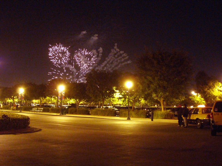 Dinner and fireworks Christmas Eve 2009