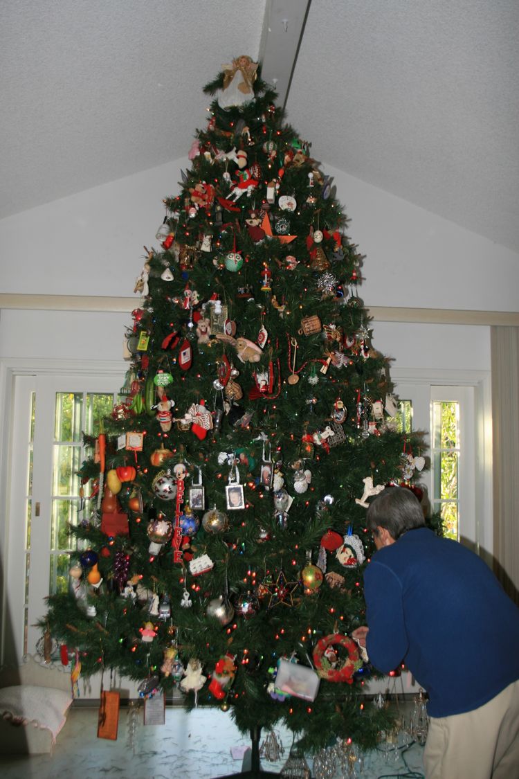 Decorating for Christmas 2010 Day 2