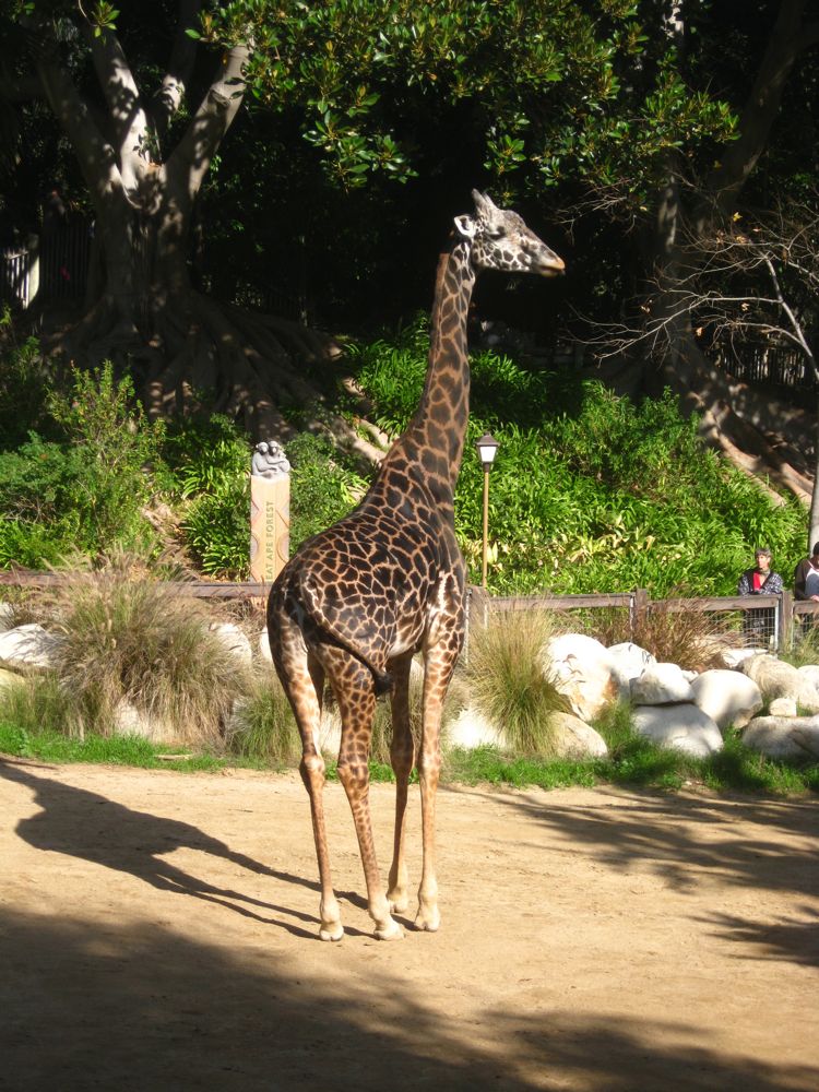 Visit to the LA Zoo Christmas 2010