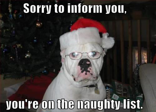 Naughty doggie