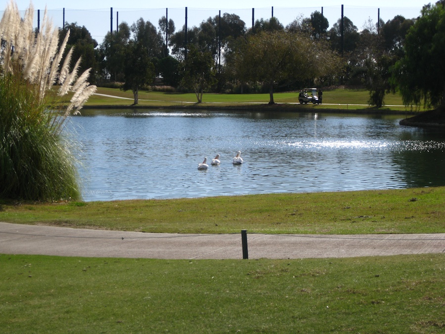 Golfing in December 2013!