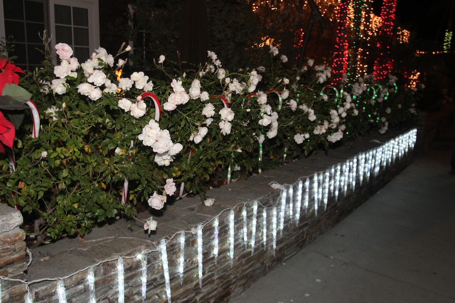 Walking through Naples to see the Christmas lights