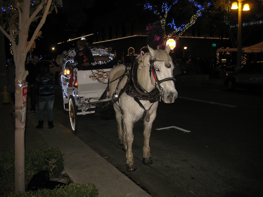 Mission Inn Christmas Festival Of Lights 2013