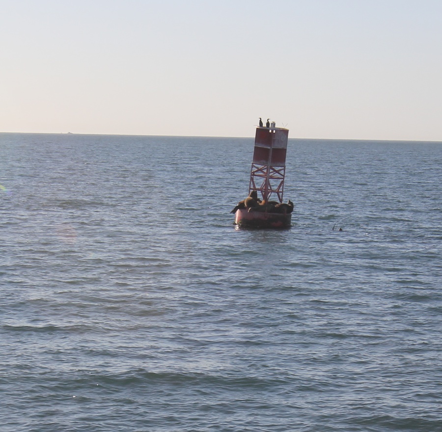 Sailing the bounding main December 2013