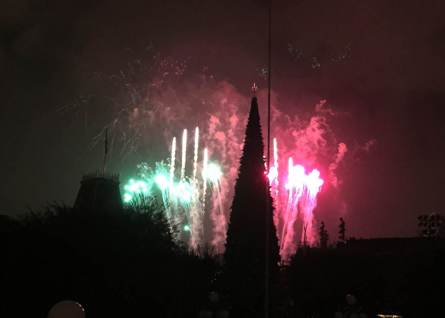 Christmas Eve 2014 at Disneyland with family and friends