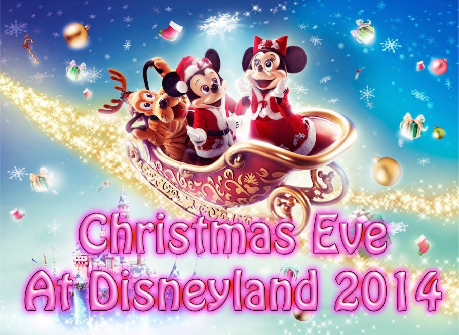 Christmas Eve at Disneyland 2014