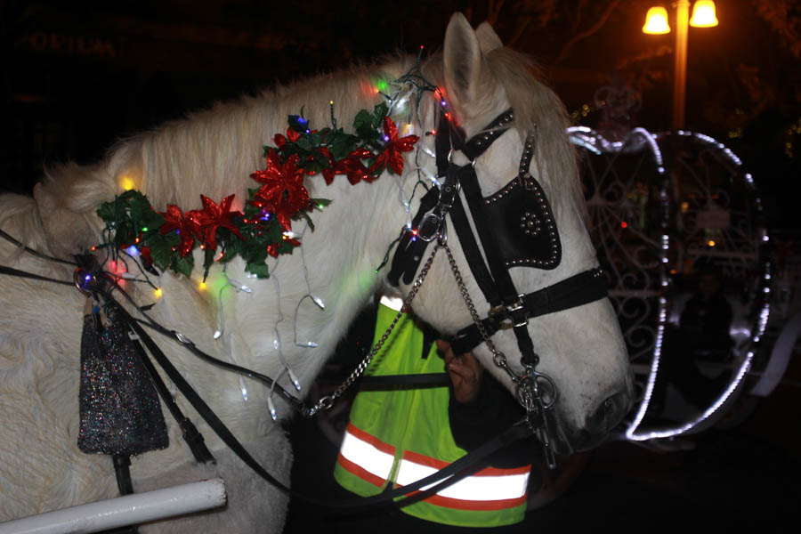 Temecula and the Mission Inn December 21st 2015