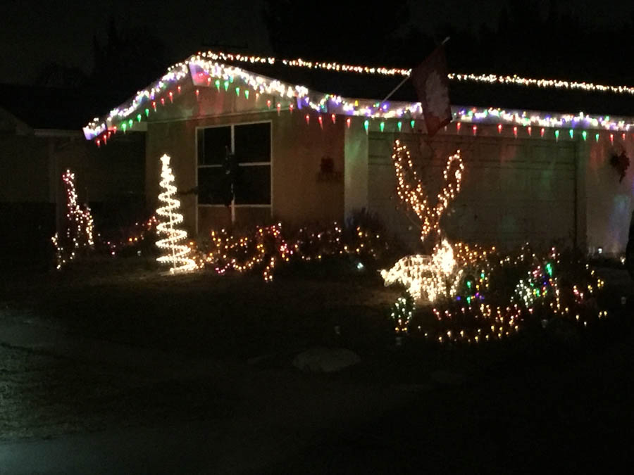 Christmas Lights 2015