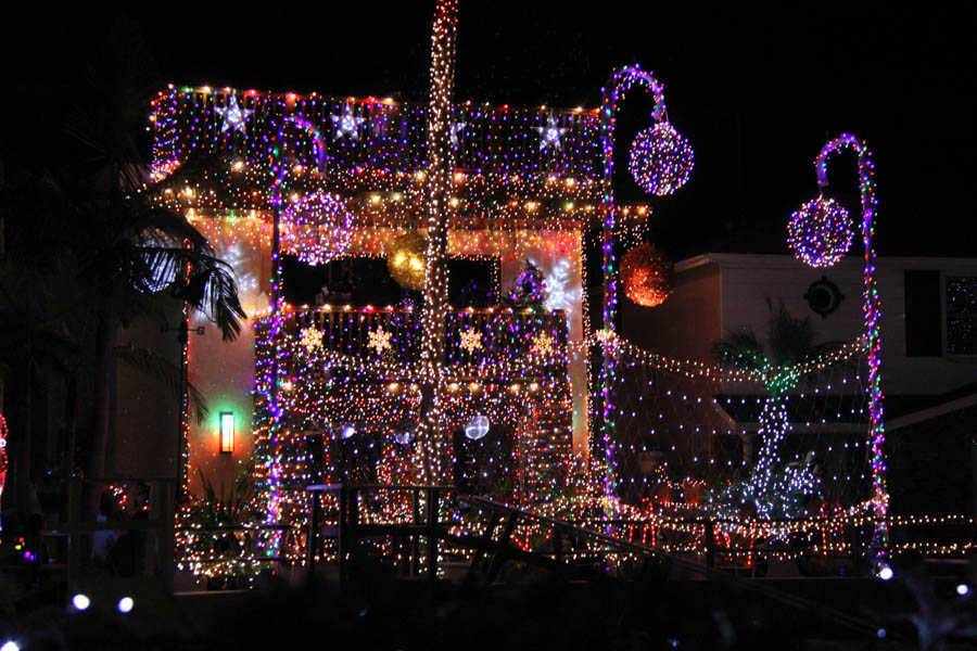 Walking around Naples seeing the Christmas lighting 12/20/2016