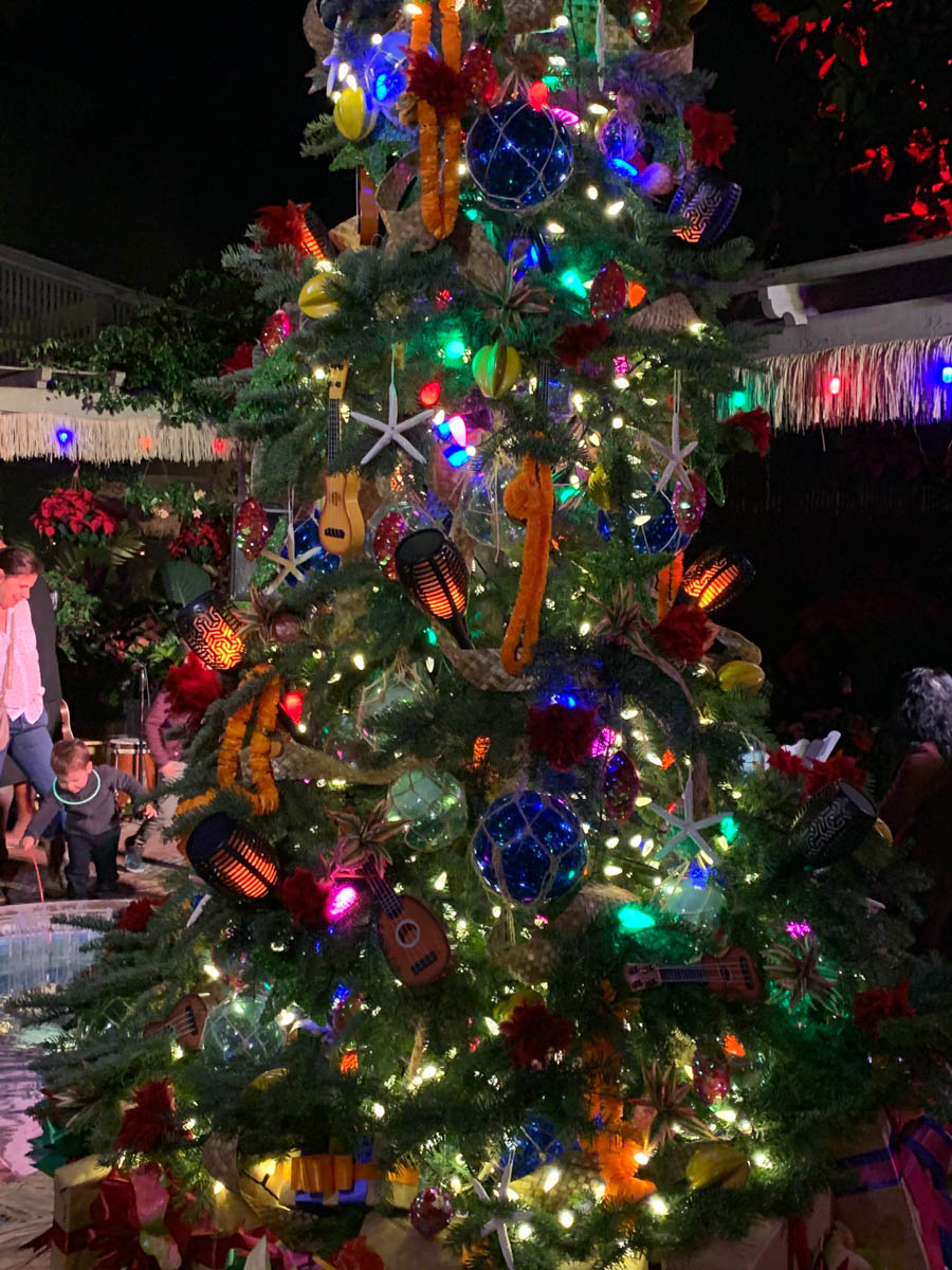 Night of 10,000 Lights at Sherman Gardens in Corona Del Mar with the  Finch's