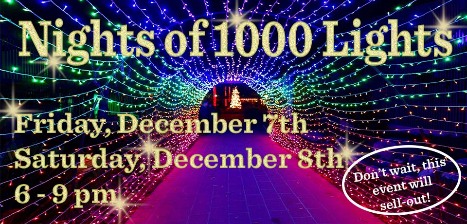 Night of 10,000 Lights at Sherman Gardens in Corona Del Mar with the  Finch's