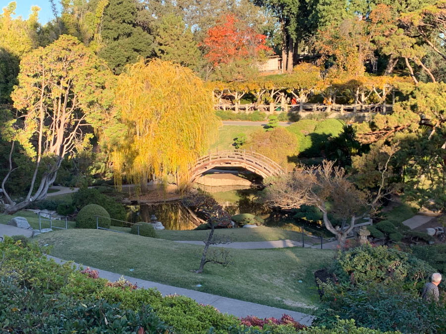 Huntington Library And Gardens 12/13/2018 With Brain And Jan Finch