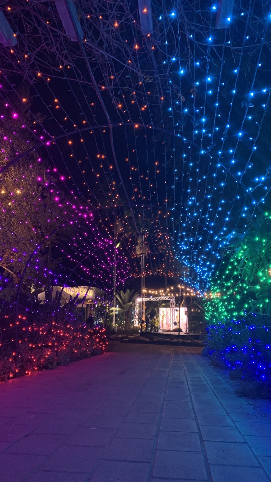 Sherman GArdens Night Of 1,000 Lights 12/11//2022