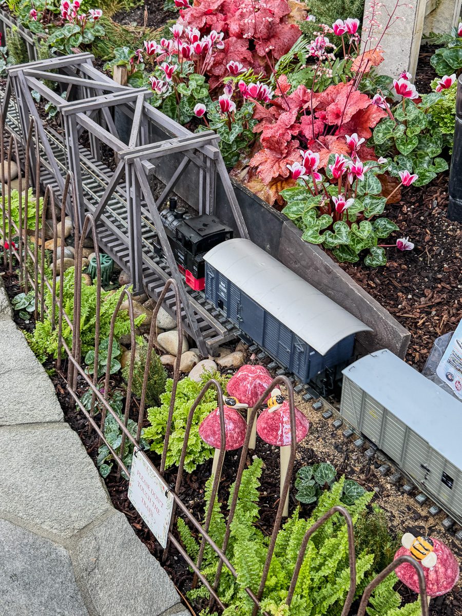 2025-12-19 Christmas Trip To Roger's