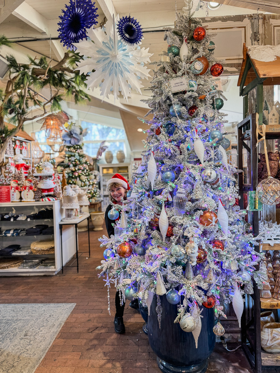 2025-12-19 Christmas Trip To Roger's