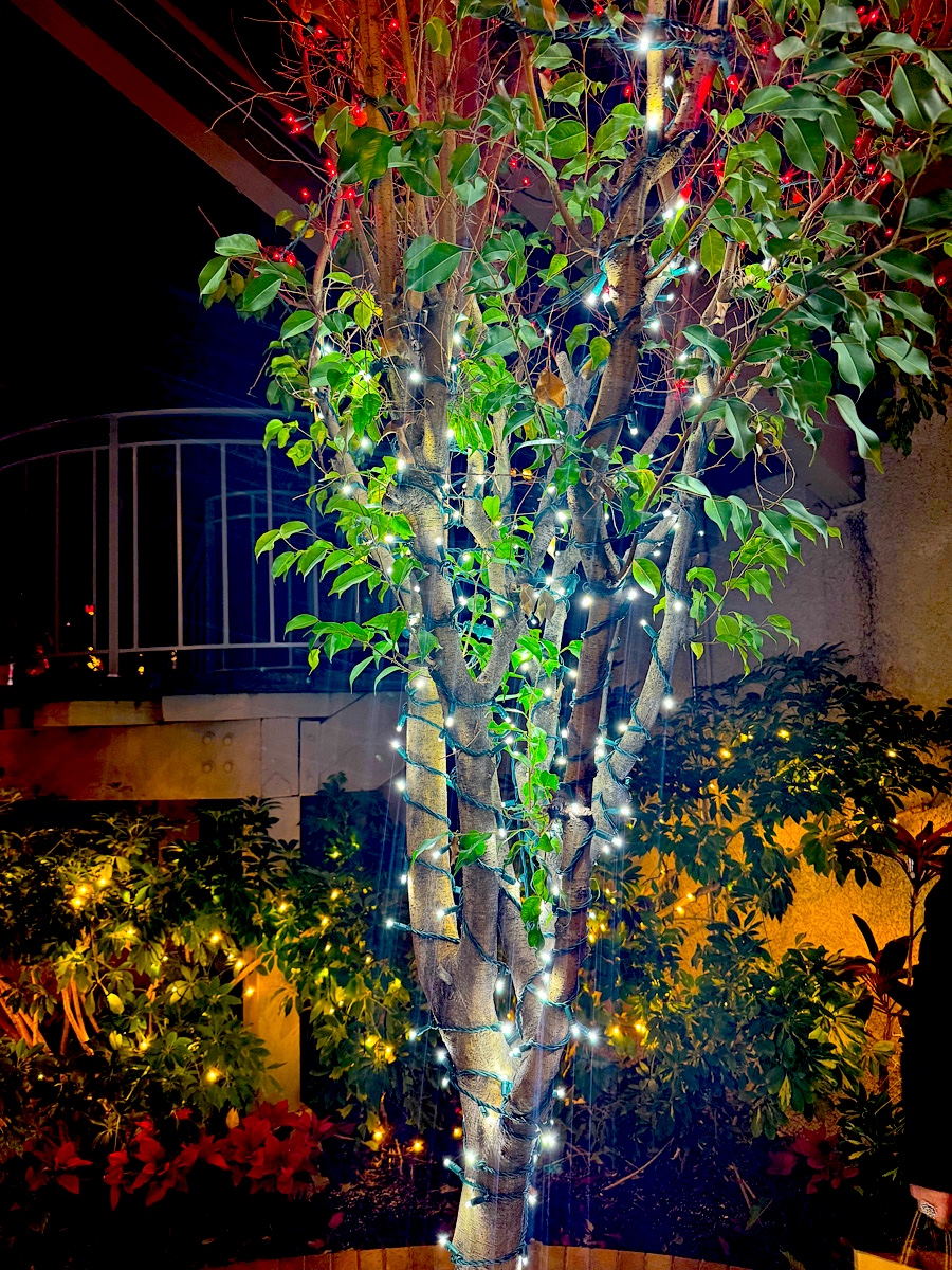 2025-12-28 Riverside Mission Inn Dinner With The Dudas