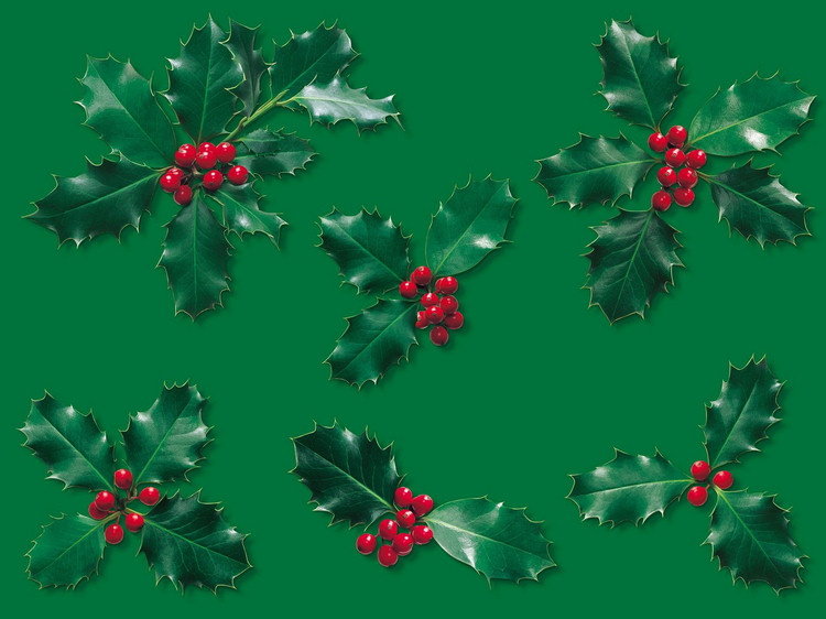 Christmas Backgrounds