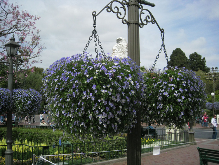 Easter Sunday at Disneyland