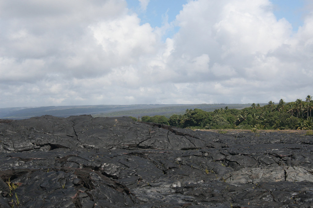 Waling The Lava Fields On Hilo