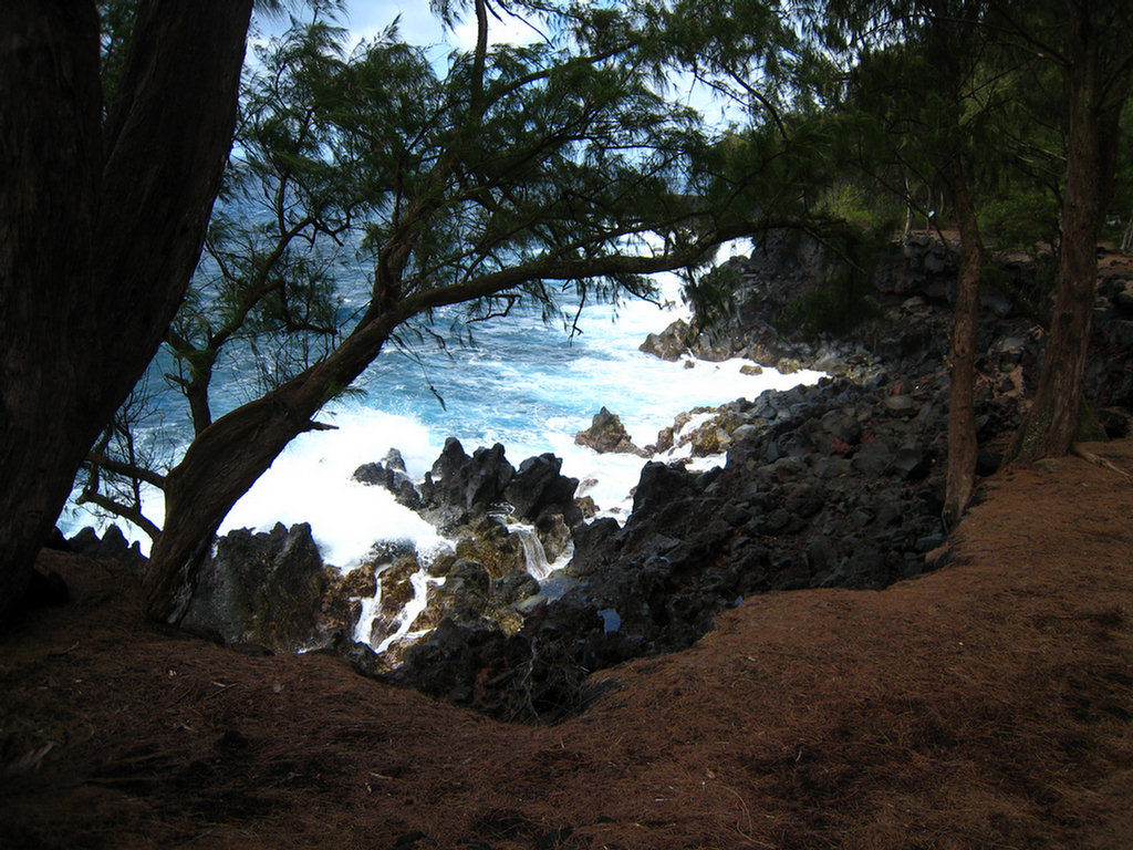 Walking In MacKenzie Park