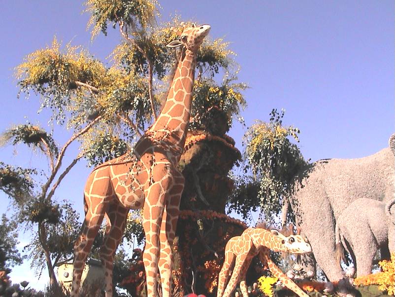 Rose Parade Floats 2003