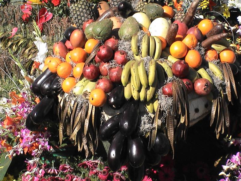 Rose Parade Floats 2003