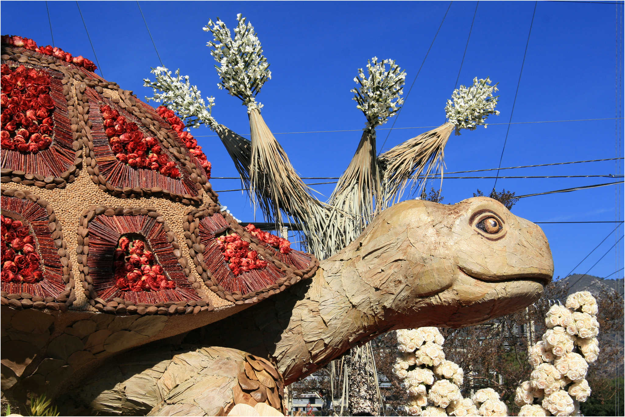 Rose Parade Walk  2007