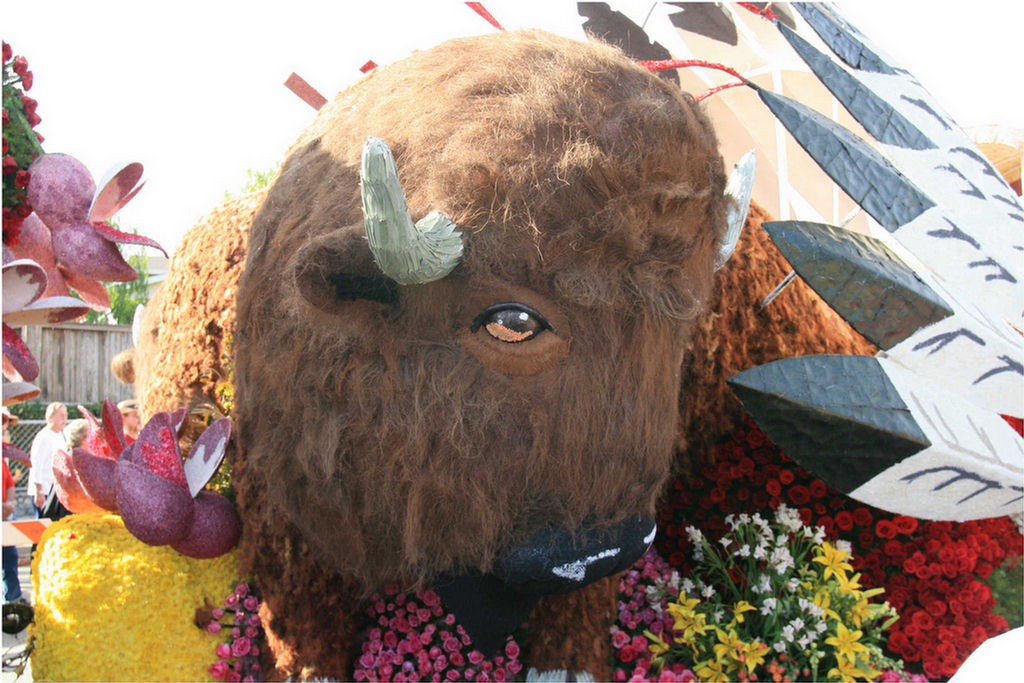 Rose Parade Walk  2007