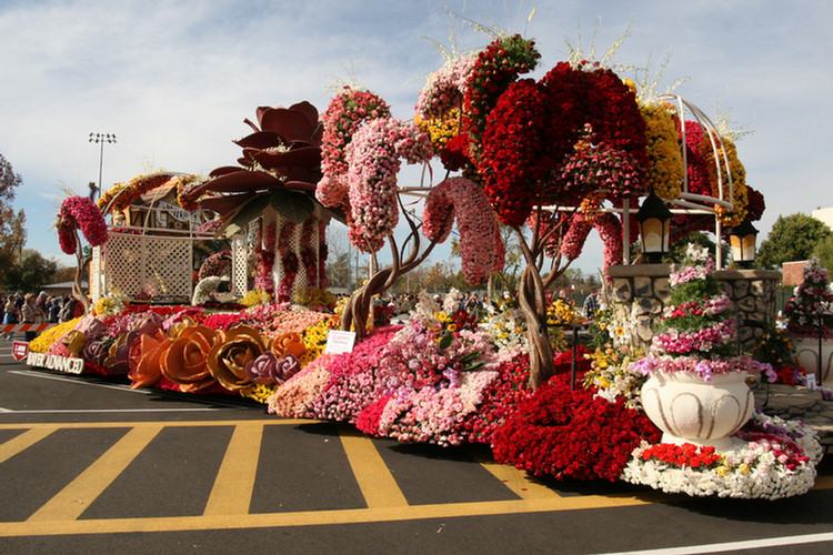 Rose Parade 2008