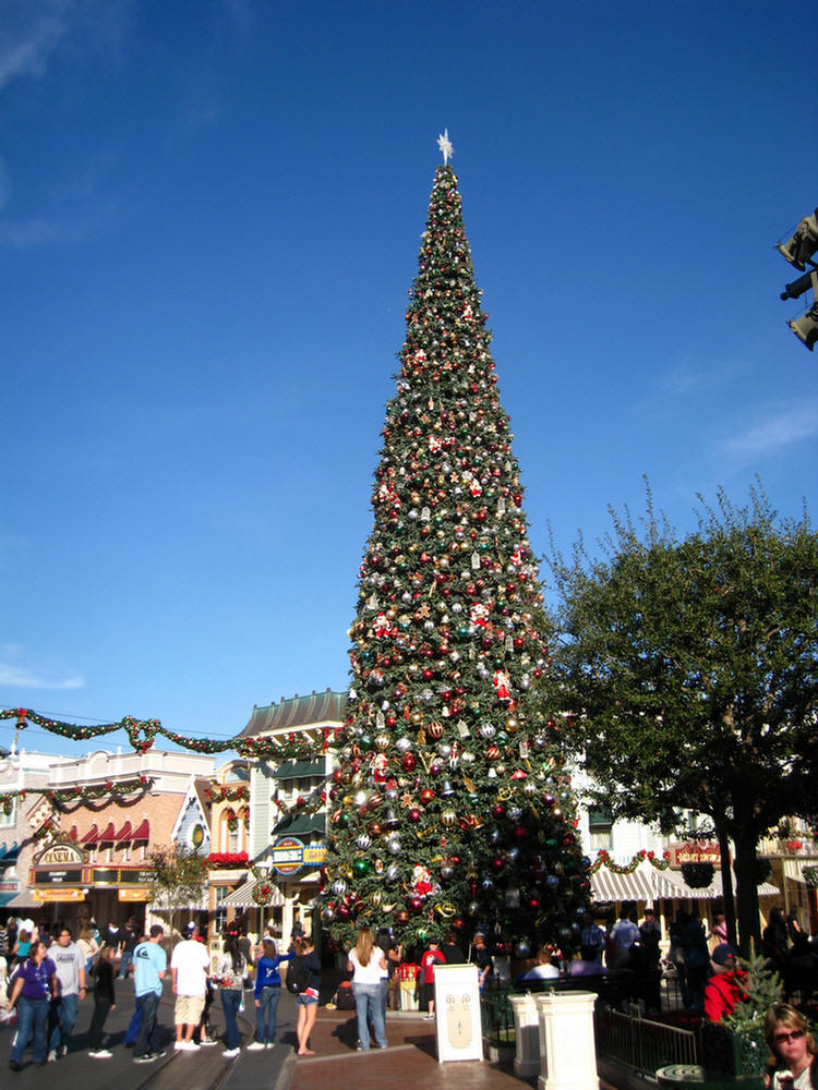 Disneyland Christmas Parade With Hannah