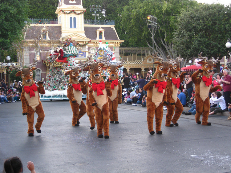 Disneyland Christmas Parade With Hannah