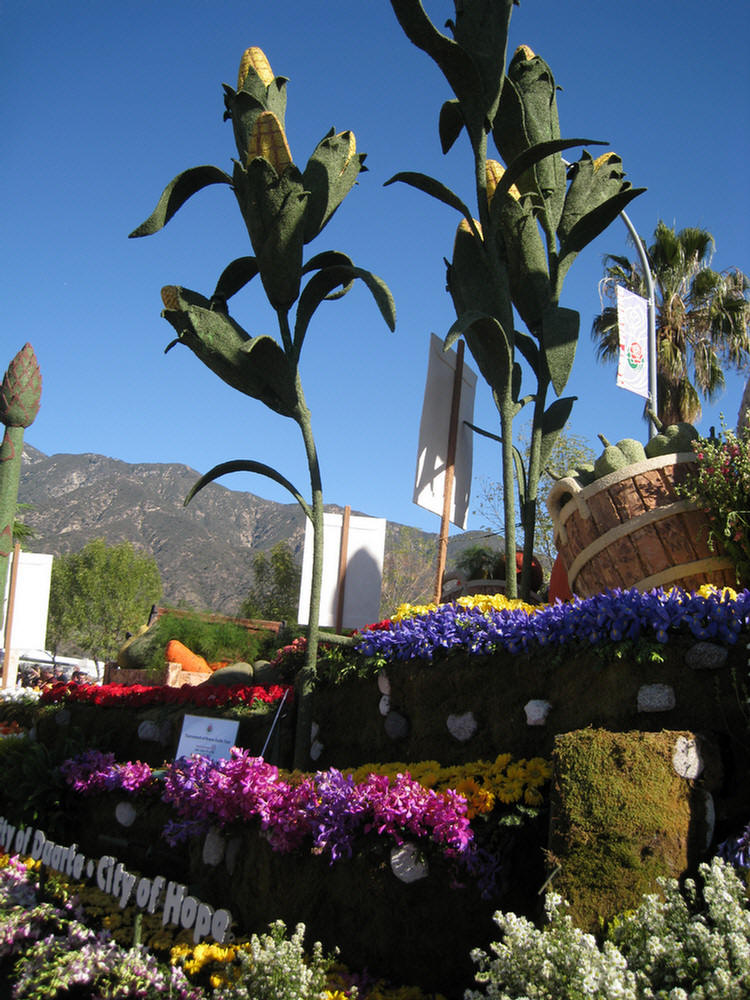 2010 Rose Parade Floats