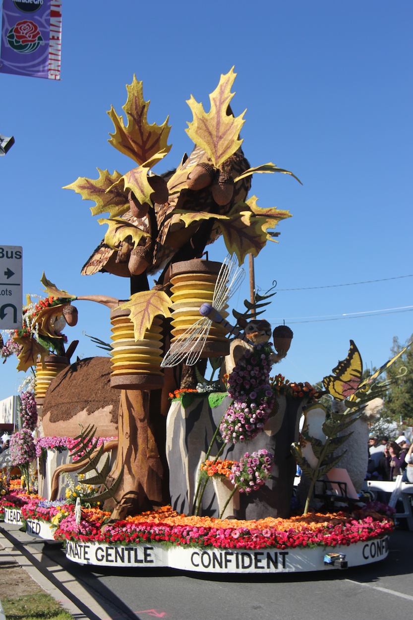 Rose Parade 1/2/2013