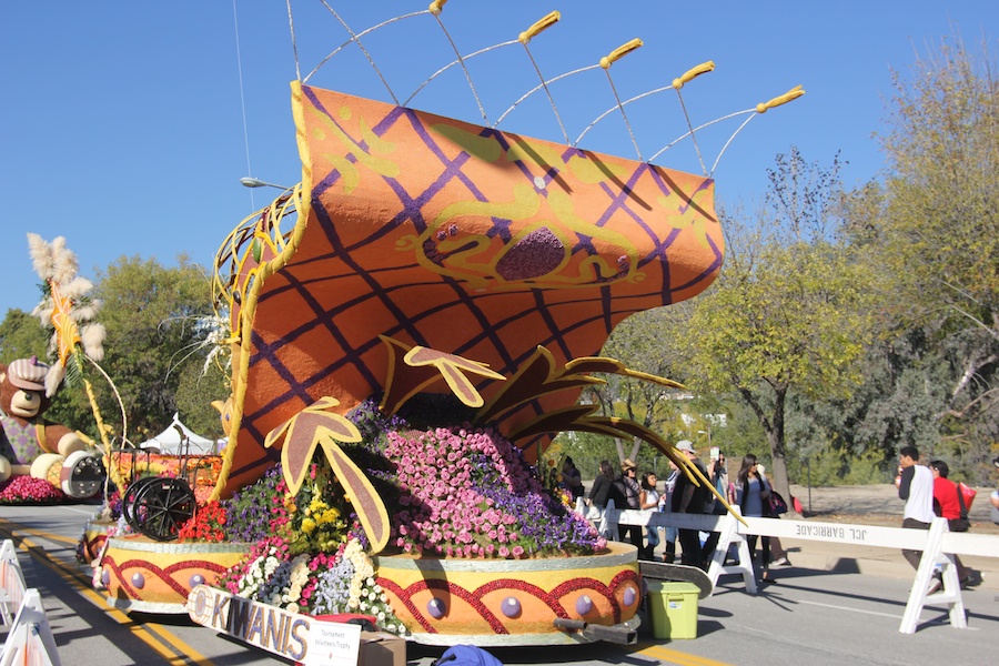 Rose Parade 1/2/2013