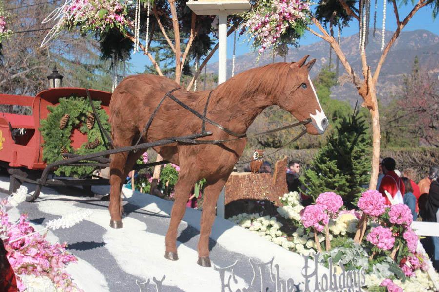 2015 Rose Parade Floats