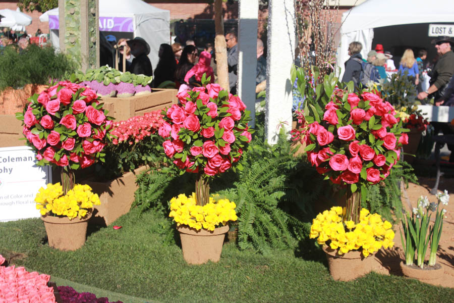 2015 Rose Parade Floats