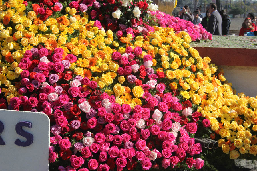 2015 Rose Parade Floats