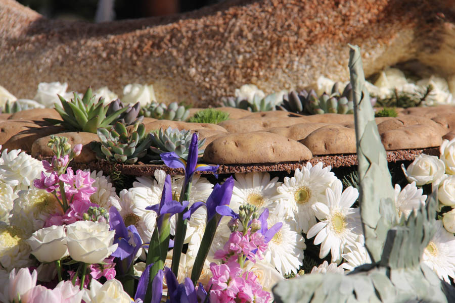 Rose Parade Floats New Years 2015