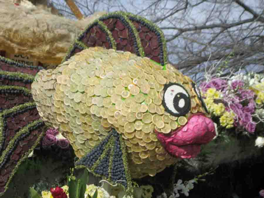 127th Rose Parade Floats And Santorini