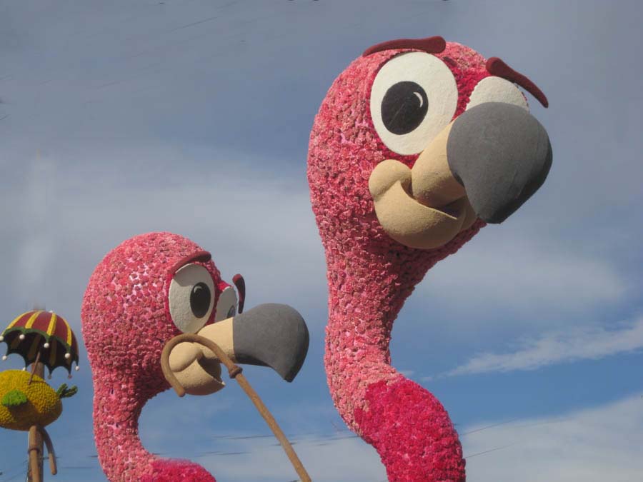 127th Rose Parade Floats And Santorini