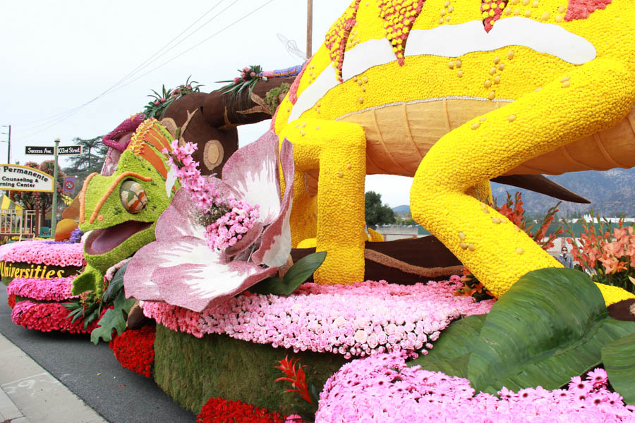 Walking the 2017 Rose Parade Floats with Joanna 1/3/2017