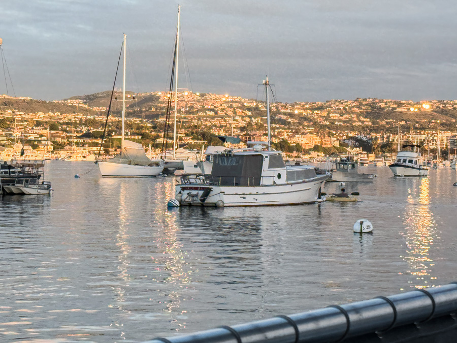 2026-01-01 Balboa With The Duda's